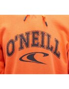 O'Neill Hanorac barbati ONeill LM State 1A1438-2513