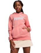 Puma Hanorac copii Ess No 1 Logo Hoodie Tr G 68489718