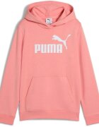 Puma Hanorac copii Ess No 1 Logo Hoodie Tr G 68489718