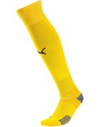Puma Jambiere barbati Teamfinal 21 70415707