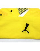 Puma Jambiere barbati Teamfinal 21 70415707