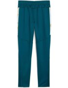 Puma Pantaloni copii Neymar Jr Creativity Training Pants Jr 65895713
