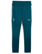 Puma Pantaloni copii Neymar Jr Creativity Training Pants Jr 65895713