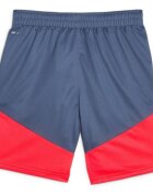 Puma Pantaloni scurti barbati Individualcup Shorts 65848553
