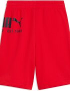 Puma Pantaloni scurti barbati Sport Graphic Shorts Tr 69223211