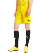 Puma Pantaloni scurti barbati Teamfinal 21 Knit Shorts 70425707
