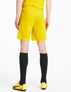 Puma Pantaloni scurti barbati Teamfinal 21 Knit Shorts 70425707