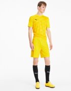 Puma Pantaloni scurti barbati Teamfinal 21 Knit Shorts 70425707