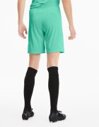 Puma Pantaloni scurti barbati Teamfinal 21 Knit Shorts 70425721