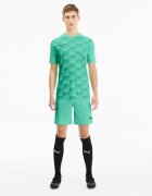 Puma Pantaloni scurti barbati Teamfinal 21 Knit Shorts 70425721