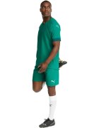 Puma Pantaloni scurti barbati Teamfinal Shorts 70507605