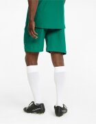 Puma Pantaloni scurti barbati Teamfinal Shorts 70507605