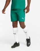 Puma Pantaloni scurti barbati Teamfinal Shorts 70507605