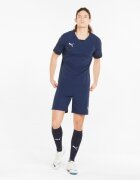 Puma Pantaloni scurti barbati Teamfinal Shorts 70507606