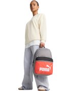 Puma Rucsac unisex Phase Color Block Backpack 09117502