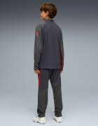 Puma Trening copii Individualliga Tracksuit Jr 66057701