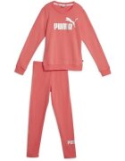 Puma Trening copii Logo FL JR 67104147
