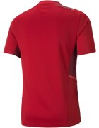 Puma Tricou barbati Teamcup Training Jersey 65673501