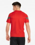 Puma Tricou barbati Teamfinal Training Jersey 65737901