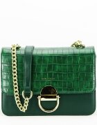 David Jones Geanta Paris CM6550 12 Verde