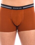 Abanderado Lenjerie intimă A077I