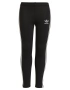 adidas Îmbracaminte CHALEIR