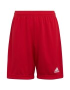 adidas Îmbracaminte Entrada 22