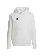 adidas Îmbracaminte Entrada 22