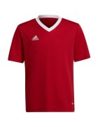 adidas Îmbracaminte Entrada 22 Jsy