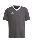 adidas Îmbracaminte Entrada 22 Jsy