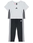adidas Îmbracaminte ESSENTIALS T-SHIRT SET