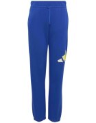 adidas Îmbracaminte G Bl Ft Pt