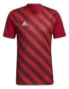 adidas Îmbracaminte Graphique Entrada 22