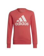adidas Îmbracaminte HE1984