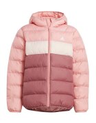 adidas Îmbracaminte IY6916