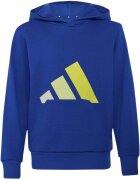 adidas Îmbracaminte J Bl Ft Hd 280