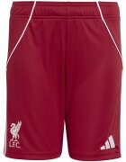adidas Îmbracaminte Lfc H Sho Y