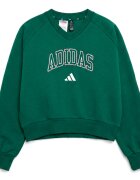 adidas Îmbracaminte Seasonals Collegiate Typography V-neck Junior Girls Sweatshirt
