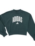 adidas Îmbracaminte Seasonals Essentials Collegiate Typography Crewneck Sweatshirt K