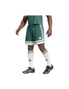 adidas Îmbracaminte Short Squadra 25 vert