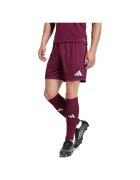 adidas Îmbracaminte Shorts Entrada 26 100% recyclé