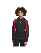 adidas Îmbracaminte Sweat jw2491 colorblock