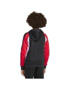 adidas Îmbracaminte Sweatshirt j cb fl hd colorblock
