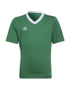 adidas Îmbracaminte T-shirt entrada 22 100% polyester