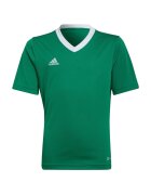 adidas Îmbracaminte T-shirt entrada 22 vert/white