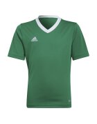 adidas Îmbracaminte T-shirt entrada 22 vert/white
