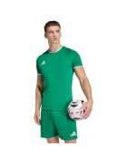 adidas Îmbracaminte T-shirt Entrada 26 vert