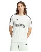 adidas Îmbracaminte T-shirt M TIRO TEE Q1 vert