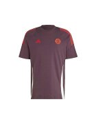 adidas Îmbracaminte T-shirt Maillot Bayern Munich