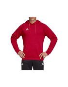 adidas Îmbracaminte Tan Hooded Sweatshirt